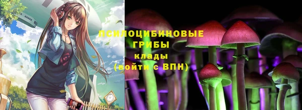 дживик Аркадак