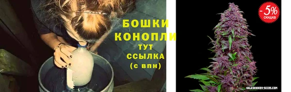 дживик Аркадак