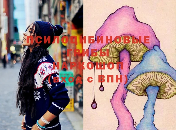 дурь Арсеньев
