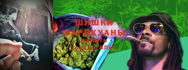 дурь Арсеньев
