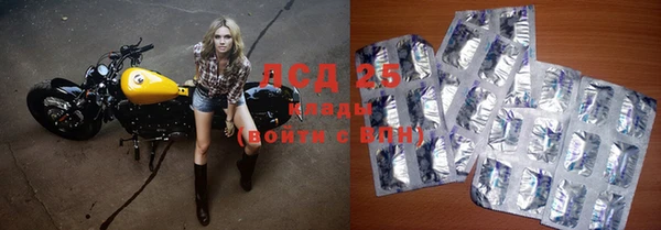 дживик Аркадак