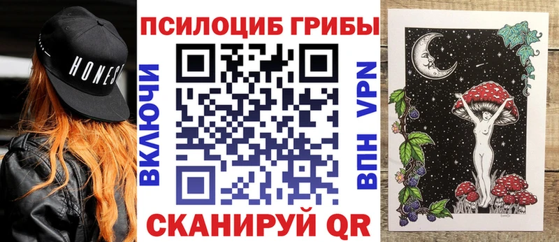 Галлюциногенные грибы Cubensis  что такое   МЕГА ONION  Судогда 