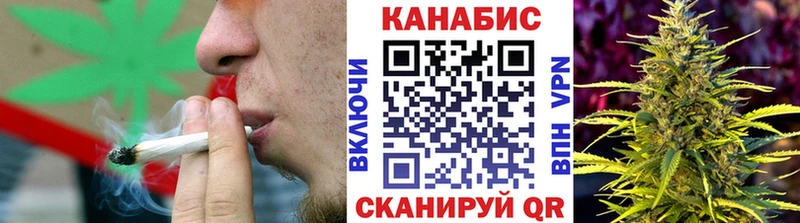 Бошки марихуана семена  где найти наркотики  Судогда 